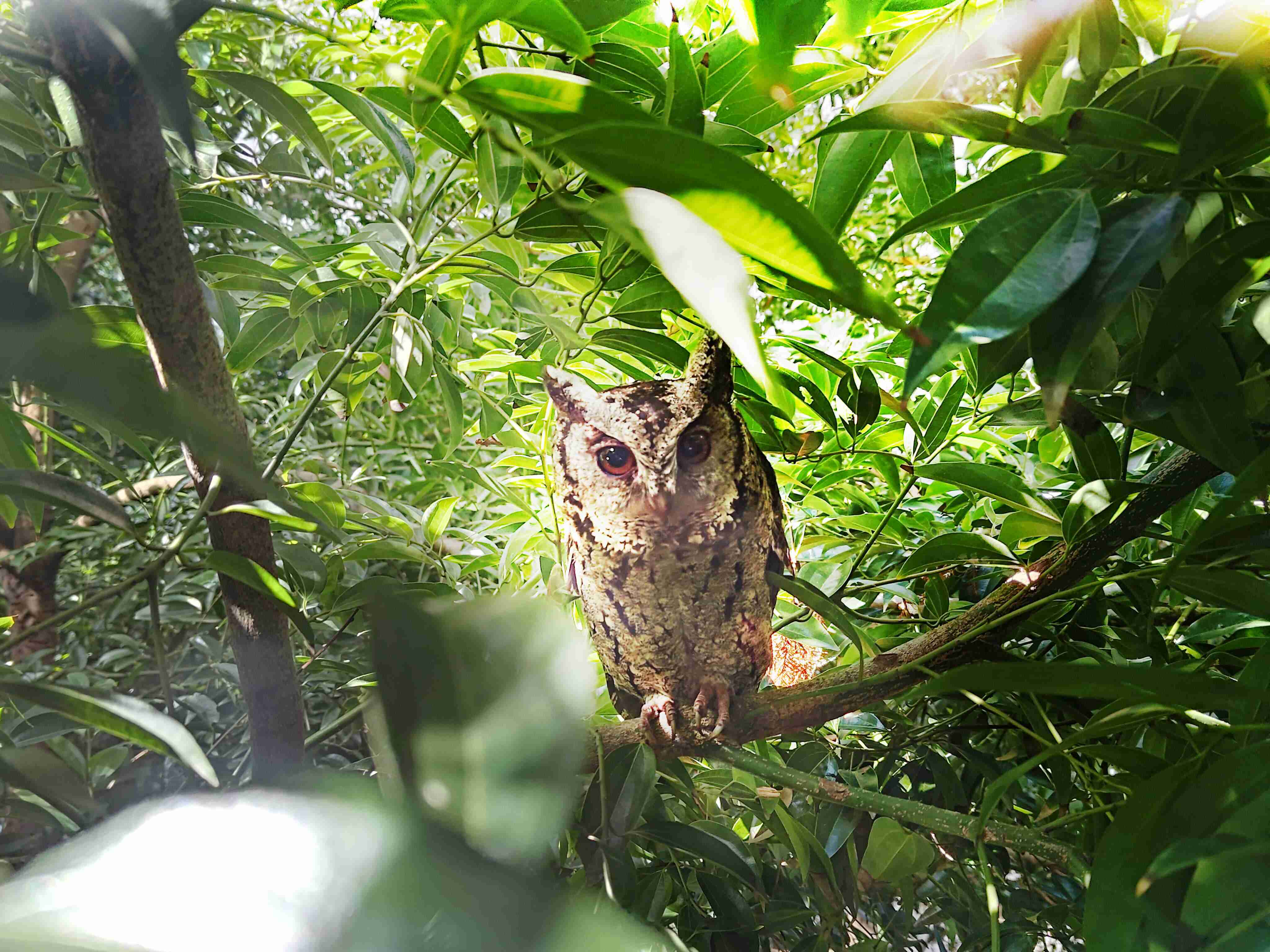 万利致力提倡净零绿生活，，，，16年以来在全球各厂区植树逾百万棵，，，造就各厂区树木蔚然成林，，，犹如森林工厂，，成为许多生物的栖息地